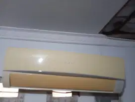 Ac sharp 1/2 pk