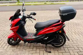 Polytron Fox R Motor Listrik Murah Molis BU