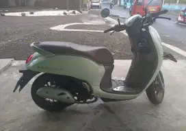 HONDA SCOOPY PRESTIGE 2024