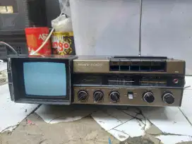 Radio Tv Sony Fx-412E