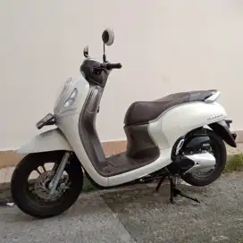 HONDA SCOOPY PRESTIGE TAHUN 2022 CASH / KREDIT MURAH DP MULAI 500 RB
