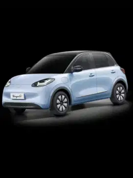 Wuling Binguo ev