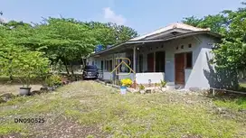 Di jual tanah produktif