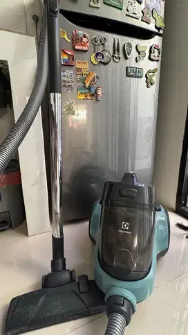 Vacuum cleaner Electrolux