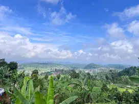 Tanah 4600m2 Dekat Wisata Candi Sukuh, Jembatan Kaca Kemuning