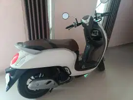Scoopy prestige Remot