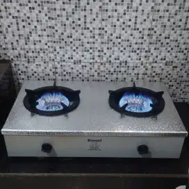 Rinnai RI - 2RSP Professional Use