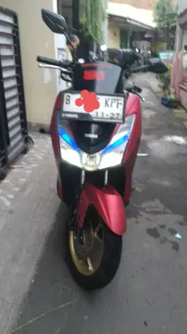 Lexi 2019 pajak Hidup