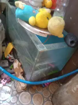 Aquarium bekas dijual
