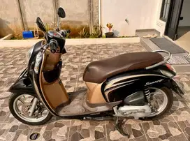 Honda Scoopy 2014