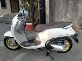 Scoopy prastige 2021