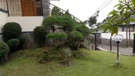Rumah Terawat Bagus Ada Taman Depan Belakng di Setra sari Bandung