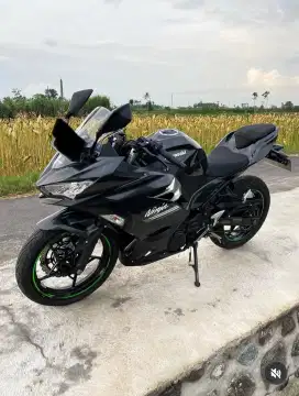 Kawasaki Ninja 250 2022