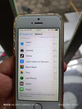 apple Iphone 5s