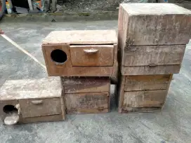 Glodok bekas Lovebird