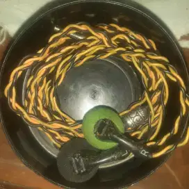 Earbuds Custom by RC Audio