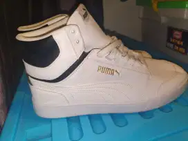 Puma dan deskripsi di foro