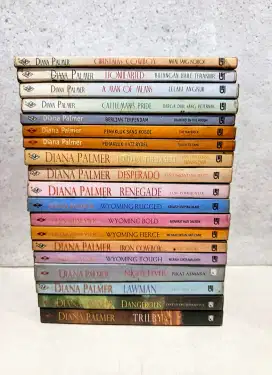 Novel  bekas ori.
