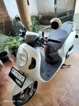Scoopy keyles 2023 pristige