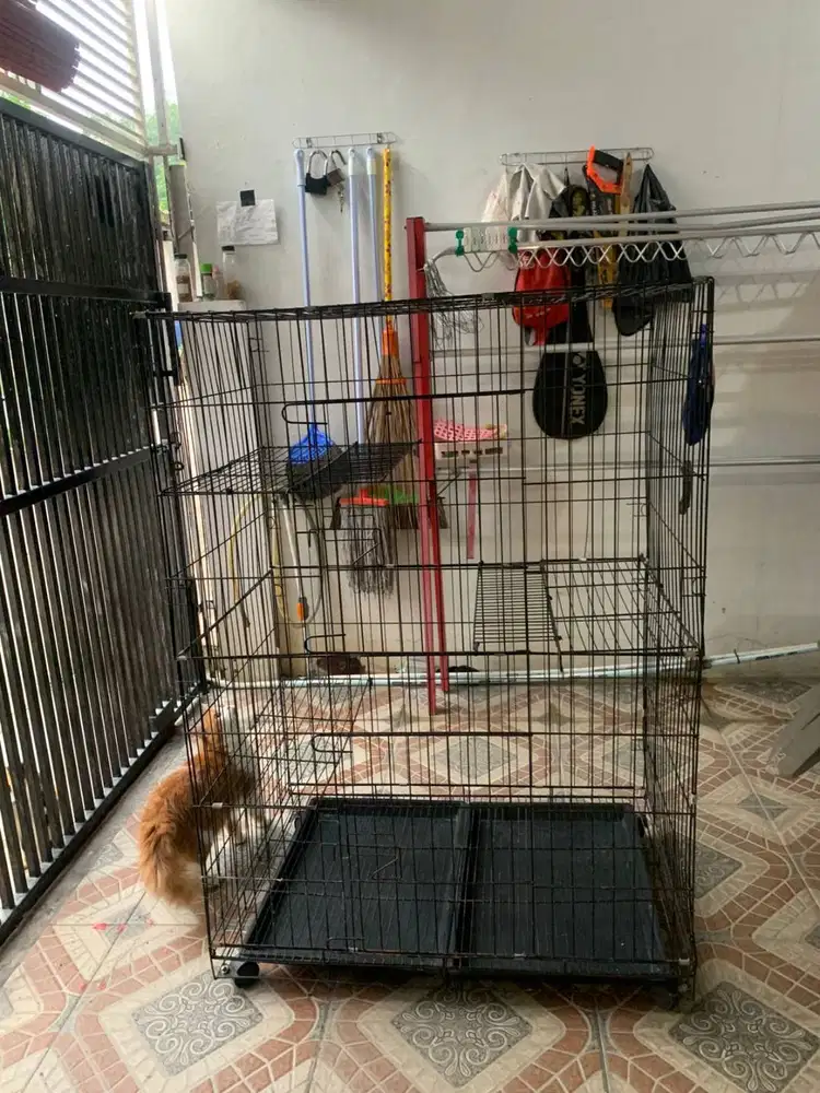 Kandang Kucing Besar