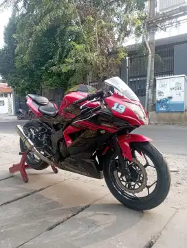 Ninja 250 Mono 2017 Original Joss Low km