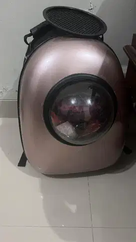 Tas kucing astronot