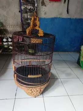 Kandang no 4 ms bagus no minus