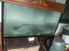 Aquarium Second
