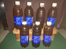 Madu murni lebah klanceng