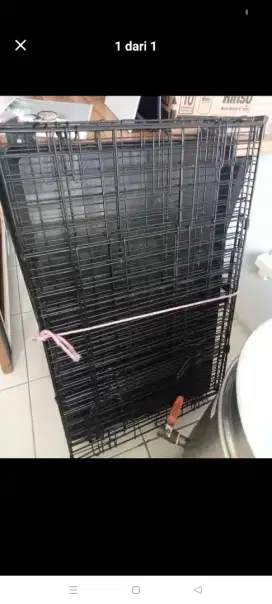 Kandang kucing ukuran besar