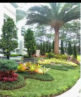 Dekorasi taman minimalis