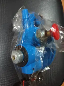 Regulator blue gazz