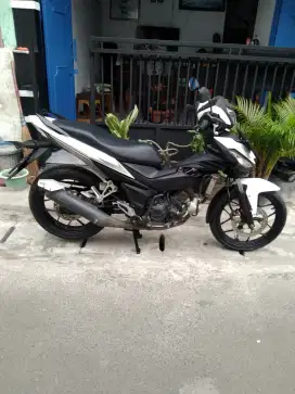 Di jual cepat pajek hidup panjang