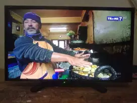 Tv led 24 Sharp analog normal
