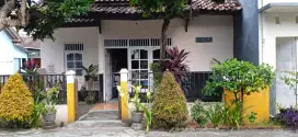 Rumah disewakan