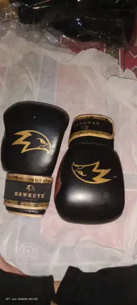 Sarung tinju Boxing gloves HAWKEYE 10OZ ORIGINAL, Hitam,Gold