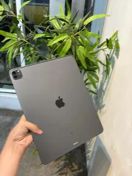 iPad Pro 12.9 inch 256GB (4th generation)