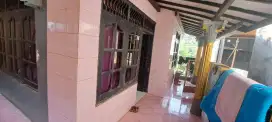 Rumah diperkampungan dengan suasana yang asri