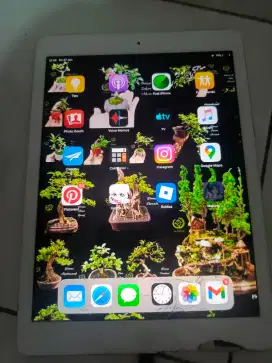 Ipad Air Wifi cell
