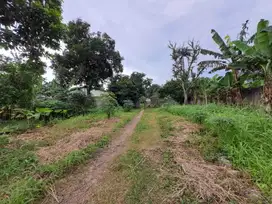 Tanah dijual murah rawa kalong gunung Sindur