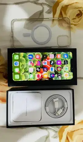 Iphone 11 Promax Inter 256gb