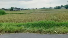 Dijual Tanah Sawah 1.800 m² – Akses Truk