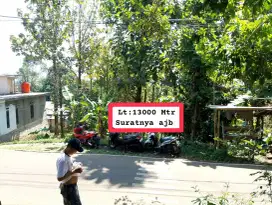 Jual tanah kebun murah bonus pohon jati Lewiliang Bogor barat