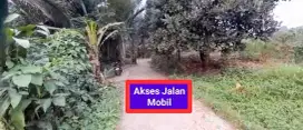 Jual tanah kebun murah Lewiliang Bogor