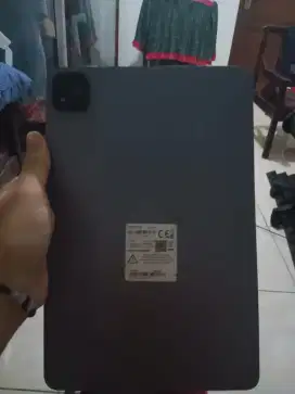 Infinix Xpad Fullsett 4+2/128