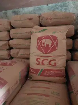 Semen scg  40kg