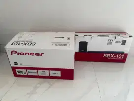 Pioneer SBX-101 baass gahar