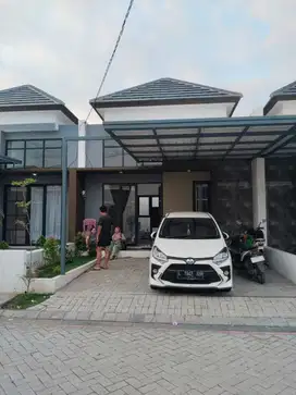 Grand north menganti
