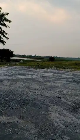 DIJUAL TANAH KALIWUNGU KENDAL ZONA MERAH/ INDUSTRI