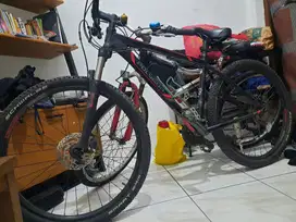 Sepeda Polygon Xtrada 5